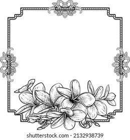 A plumeria frangipani tropical flower background frame. Could be an invite card for a funeral or wedding 