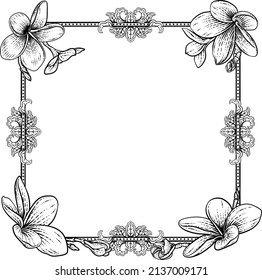 A plumeria frangipani tropical flower background frame. Could be an invite card for a funeral or wedding 