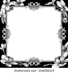 A plumeria frangipani tropical flower background frame. Could be an invite card for a funeral or wedding 