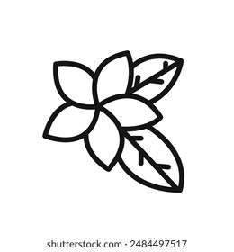 plumeria icon linear vector graphics sign