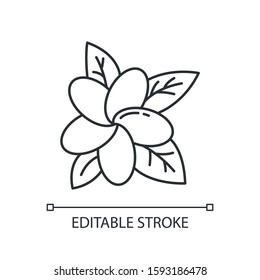 Plumeria linear icon. Exotic flower. Flora of Indonesian islands. Tropical plants. Blossom of frangipani. Thin line illustration. Contour symbol. Vector isolated outline drawing. Editable stroke