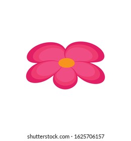 Plumeria Logo Template vector symbol nature