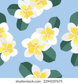 Plumeria pattern on a blue background. White flowers. Print. Vector texture. Green leaves. Cute. Tropical. Exotic. Nature. Botanical. Invitation. Fabric. Textile. 