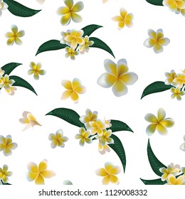 Plumeria pattern seamless. Vector stock.