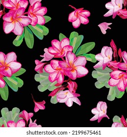 Plumeria pink pansy flower vector illustration