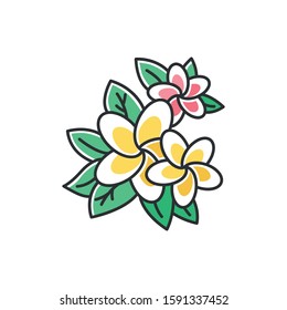 Plumeria pink and yellow color icon. Exotic region flowers. Flora of Indonesian islands. Small tropical plants. Blossom of frangipani with leaves. Nature of Bali. Isolated vector illustration