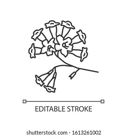 Plumeria pixel perfect linear icon. Ipe tree. Tropical blossom. Exotic floret. Botany. Thin line customizable illustration. Contour symbol. Vector isolated outline drawing. Editable stroke