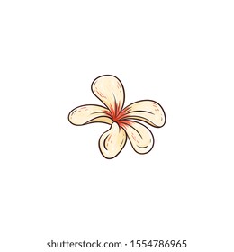 Plumeria rubra hawaiian tropical flower in blossom vector illustration isolated on white background. Beautiful exotic summer plant hand drawn icon in sketch style.