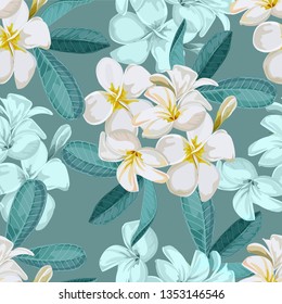 Plumeria seamless pattern vector illustration