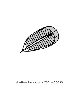 plumeria tropical leaf isometric icon vector. plumeria tropical leaf sign. isolated symbol illustration