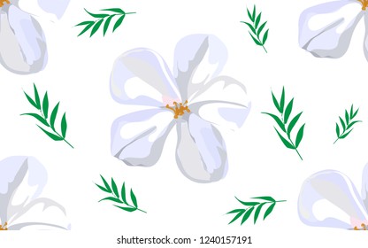 Plumeria white flower with leaf seamless pattern background