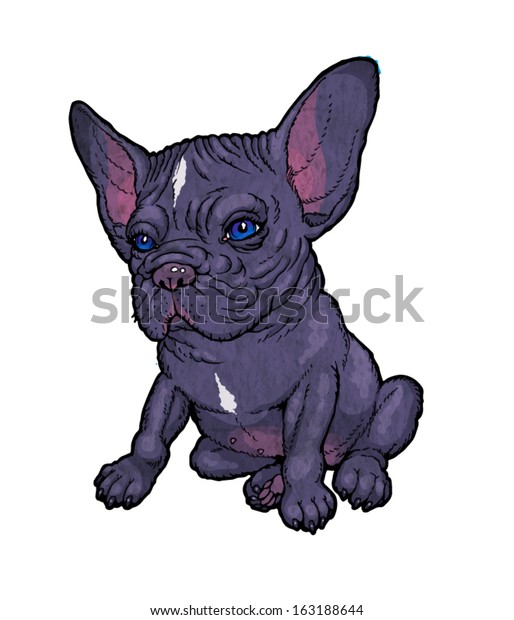 79+ French Bulldog Blue Eyes Puppy