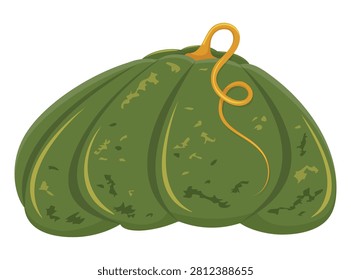 Plump green pumpkin with curved stem. Isolated vector with grunge texture. Realistic depiction of the vegetable, symbolizing the autumn harvest.