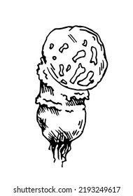 Plump mushroom. Edible and non-edible mushroom plants from wild forest. Outline hand drawn sketch. Drawing with ink. Isolated on white background. Vector.