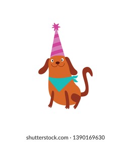 Plump puppy in the birthday party hat ready to celebrate cartoon flat vector illustration isolated on white background. Funny animal icon for holiday banners and cards.