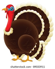 A plump thanksgiving or christmas turkey standing.