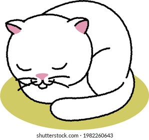 plump white cat's catloaf sitting
