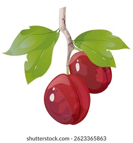 Plums in game design. For sticker and t-shirt design, posters, logos, labels, banners, stickers, product packaging design, etc.