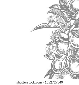 Plums hand drawn illustration. Ink sketch. Hand drawn illustration. Seamless pattern. Healthy organic food. Farm market products. Best for package design.