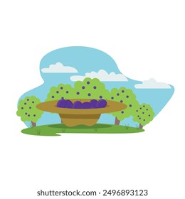 Plums in a hat on the background of an orchard