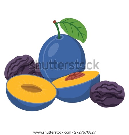 Plums icon set vector illustration fresh and dried isolated on white background ideal for whole half prune fruit design packaging or decorative project