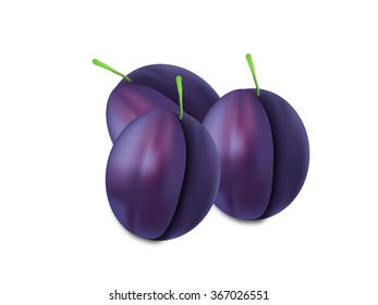 Plums isolated on a white background 