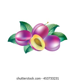 Plums and leaves. Realistic illustration.