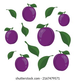 Plums and leaves. Vector illustration.