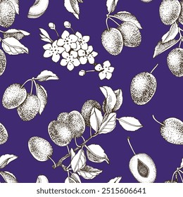 Plums seamless pattern vector illustration