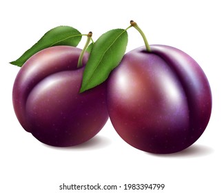 Plums with stem and green leaf with shadow. Vector 3D realistic illustration, isolated on white background
