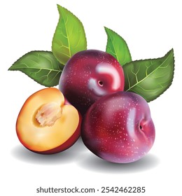 Plums with a sweet and fresh taste