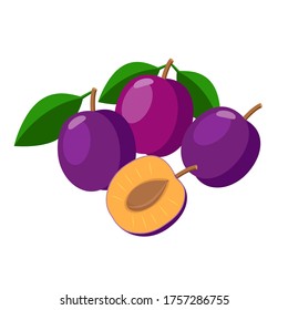 Plums vector illustration isolated on white background. Juicy purple plum fruits.