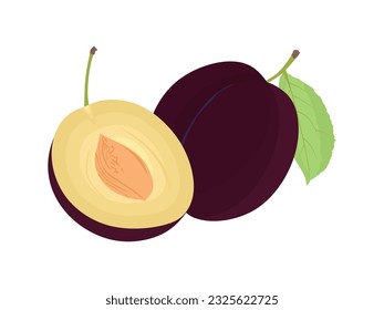 Vector de ciruelas. ciruela entera y media dulce aislada en fondo blanco. Ilustración plana de ciruelas frescas con hoja verde. Vector