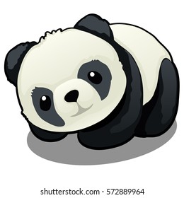 Plush toy Panda bear isolated on white background. Cartoon vector illustration close-up.