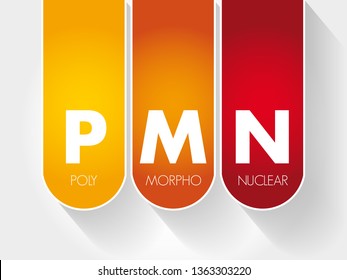 PMN PolyMorphoNuclear - having a nucleus with several lobes and a cytoplasm that contains granules, as in an eosinophil or basophil, acronym text concept background