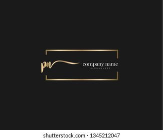 PN Initial handwriting logo vector. Hand lettering for designs.