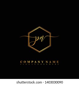 PN Initial luxury handwriting logo vector