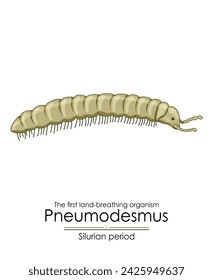 Pneumodesmus, the first land-breathing organism from Silurian period, colorful illustration on a white background