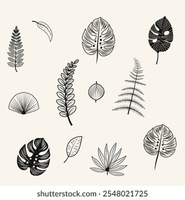 png The image shows a collection of botanical and measured elements on a light beige background. The designs are stylized, with black and brown outlines. 