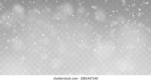 Png Vector heavy snowfall, snowflakes in different shapes and forms. Snow flakes, snow background. Falling Christmas	