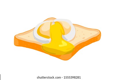 Poached egg on toast. Vector illustration cartoon flat icon isolated on white. Fresh delicious egg poached and cut, runny yellow yolk. Yummy breakfast. 