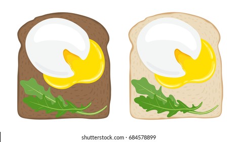 Poached egg toast. Set of 2 delicious poached egg sandwiches with ruccola on white and dark bread. Fresh toasted bread with poached egg. Yummy breakfast. Vector hand drawn illustration.