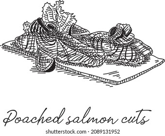 Poached salmon cuts. Sketchy hand-drawn illustration of the salmon cuts on the plate.