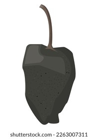 poblano chilli pepper vegetable icon