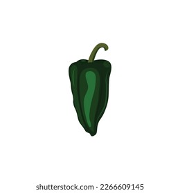 Poblano pepper Capsicum annuum is a mild chili pepper,  ancho or chile ancho.