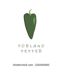 ilustración vectorial de diseño plano de pimienta de problemas. Capsicum annuum poblano chili