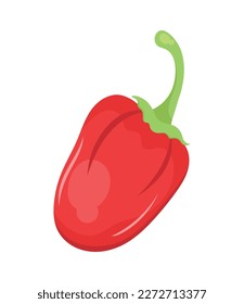 poblano red chilli pepper icon