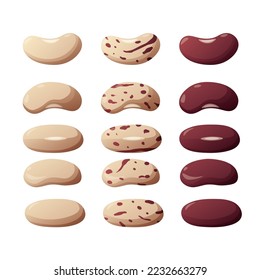 Pocial beans on a white background. Healthy food. Bobs. Vector illustration