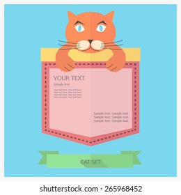 Pocket background with cat