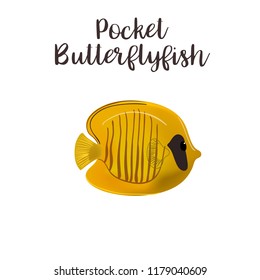 Pocket butterflyfish vector realistic illustration. Cartoon sea fish